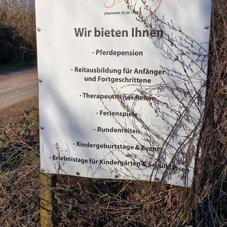 Ferienwohnung Halle/Lettin Halle  Buitenkant foto